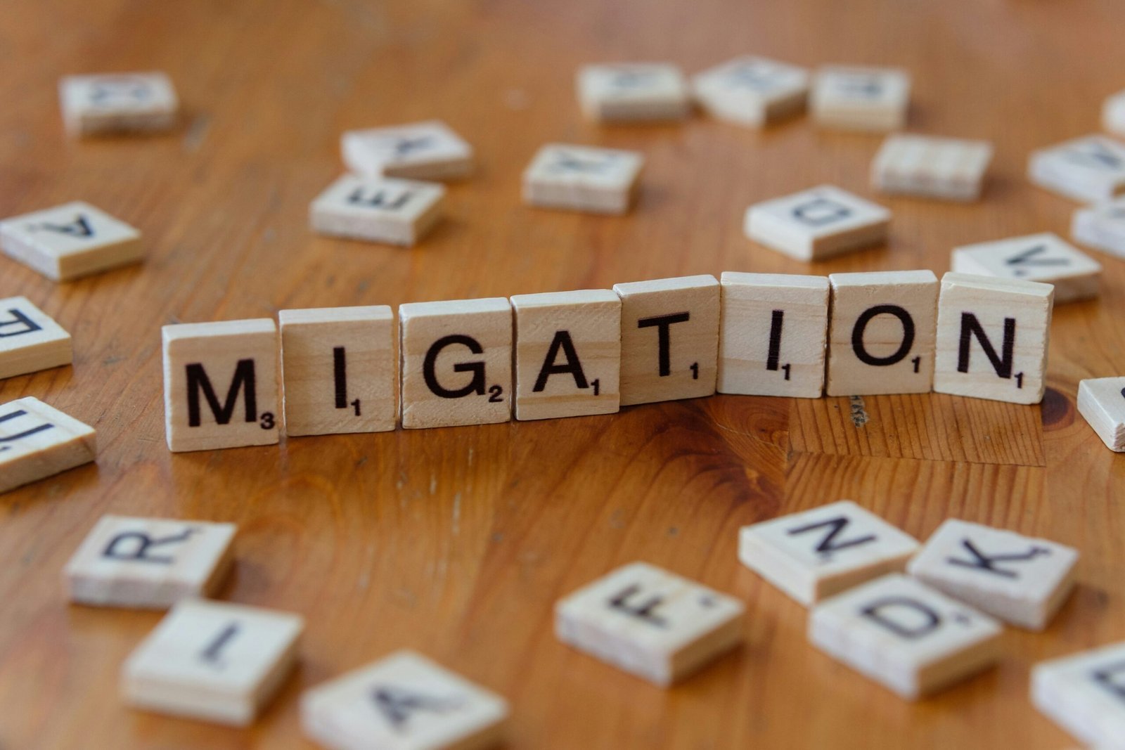 A close up of a wooden block with letters spelling the word migration