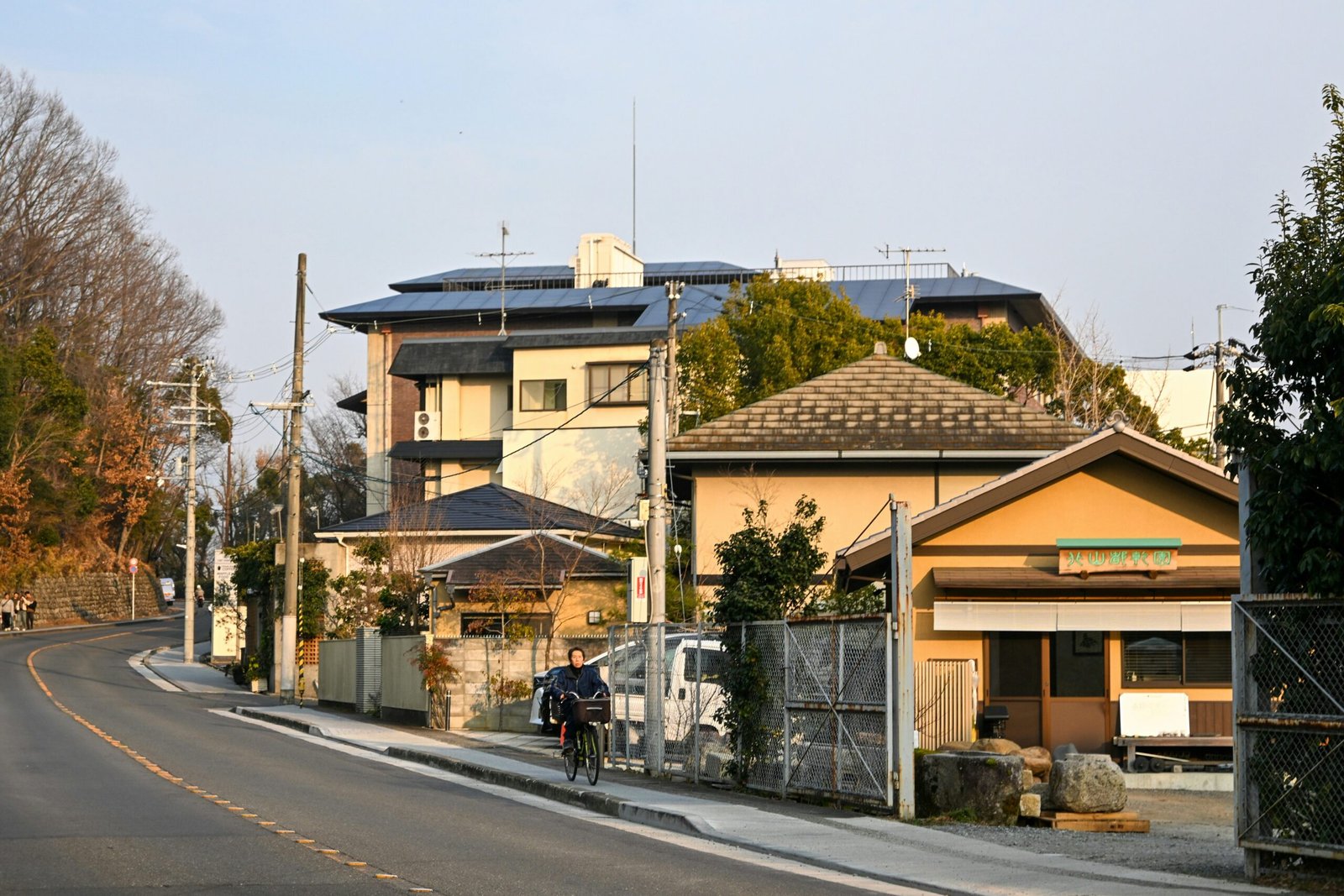 A cyclist rides down a suburban street with houses.
